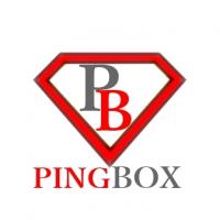 PING BOX Project Picture