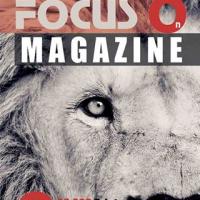 profile-168346 Profile Picture