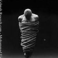 أفند ينا Profile Picture