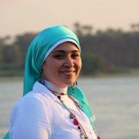 profile-179116 Profile Picture