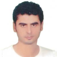 احمد عبدالسلام على Profile Picture