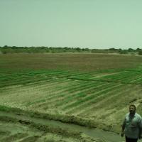 مشاريع-مزارع-البركة Picture