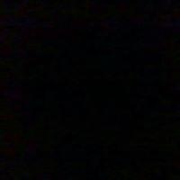 profile-178951 Profile Picture