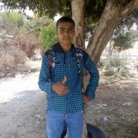 profile-179705 Profile Picture