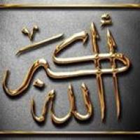 Hany Fareed Profile Picture