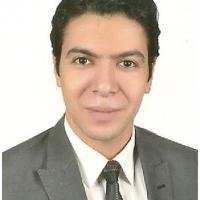 عمرو سعداوي profile picture
