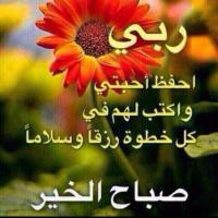 samarelhenawey Profile Picture