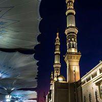 profile-183792 Profile Picture