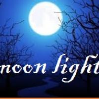 moon light Project Picture