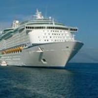 يحيي فتحي profile picture