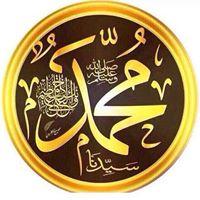 Hamdy Amin Mahmoud profile picture