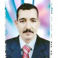 محمد أبوزيد Profile Picture