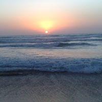 Tarik Hassiane Profile Picture