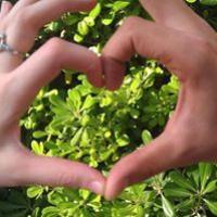 profile-213905 Profile Picture