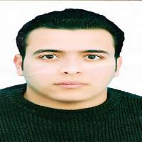 profile-216071 Profile Picture