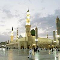 profile-217800 Profile Picture