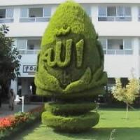 alaa Profile Picture