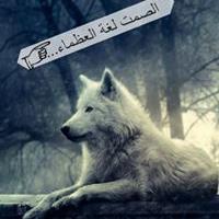 كرم كابو profile picture