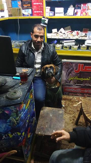 حامد محمود محمد Cover Image