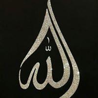 profile-224290 Profile Picture