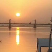 dalya omer hassan Profile Picture