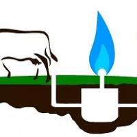 profile-225682 Profile Picture