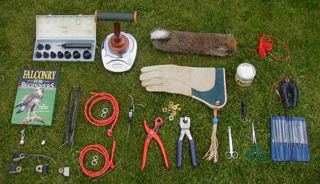 موسى سويسي محمد عبد القادر Cover Image