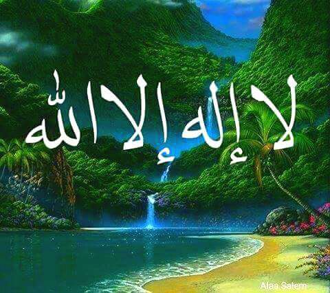 C P M Company Cover Image