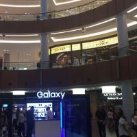 profile-227464 Profile Picture