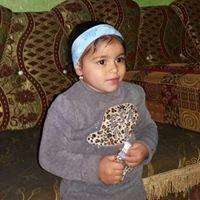 محمد رفاعى Profile Picture