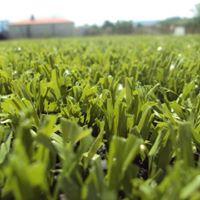 profile-229918 Profile Picture