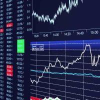 profile-230797 Profile Picture