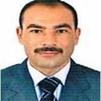 profile-241554 Profile Picture