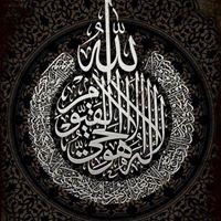 profile-245491 Profile Picture