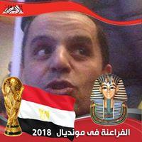 profile-246475 Profile Picture