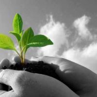 عمر عبدالباقى Profile Picture