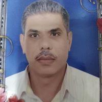 profile-246650 Profile Picture