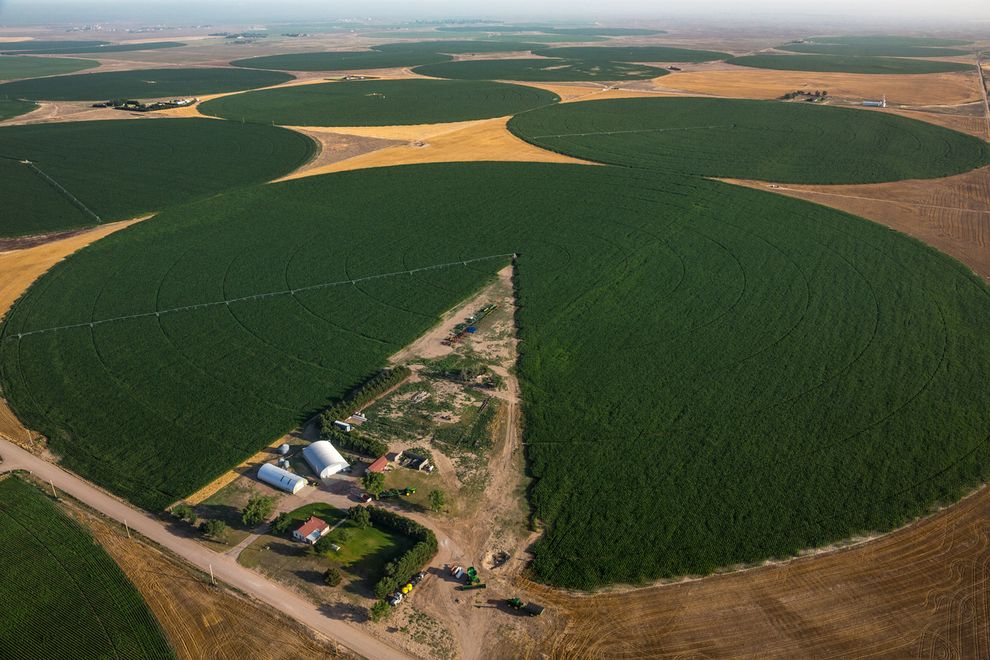 عاصم السعيد Cover Image