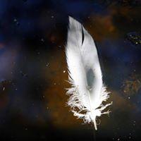 Ahmed Saleh profile picture