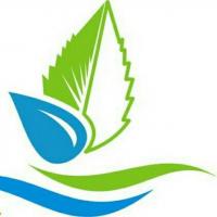 profile-249266 Profile Picture