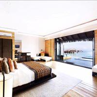 profile-249577 Profile Picture