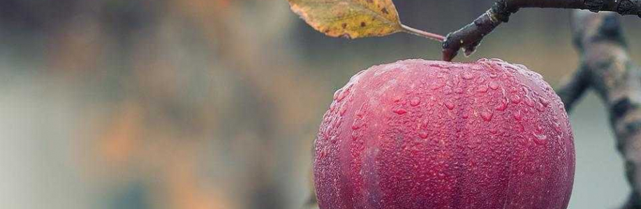 Nabil بن زراري Cover Image