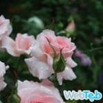 d4b27e3c0 Profile Picture