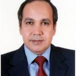 mawad266 Profile Picture