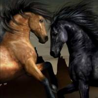 mtmtaha Profile Picture