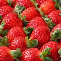 eltayyar Profile Picture