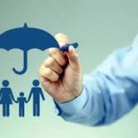 profile-247362 Profile Picture