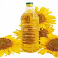 profile-238349 Profile Picture