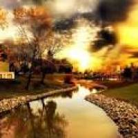 profile-241149 Profile Picture