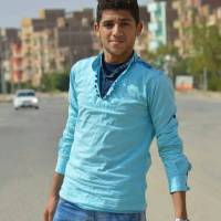 ahmed elgohary Profile Picture